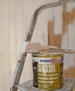 Zinnser Coverstain and Red Frost brush